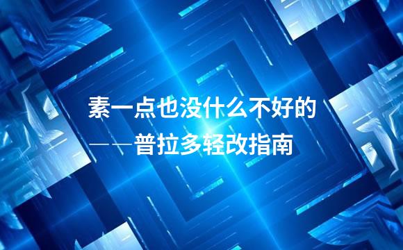 素一点也没什么不好的――普拉多轻改指南