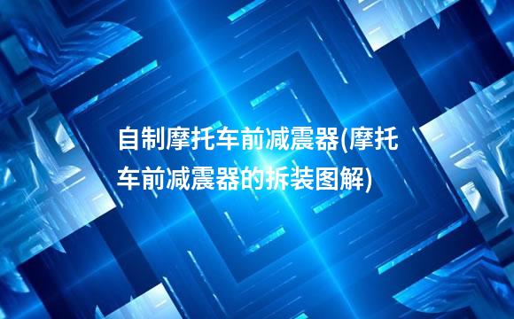 自制摩托车前减震器(摩托车前减震器的拆装图解)