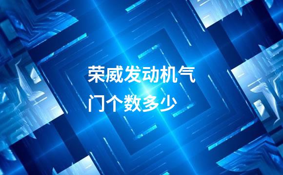 荣威发动机气门个数多少