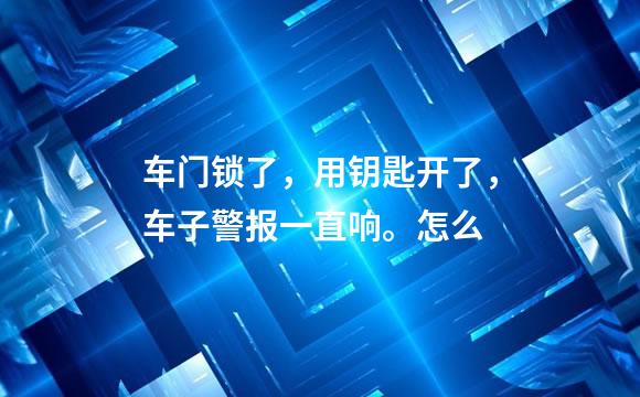 车门锁了，用钥匙开了，车子警报一直响。怎么