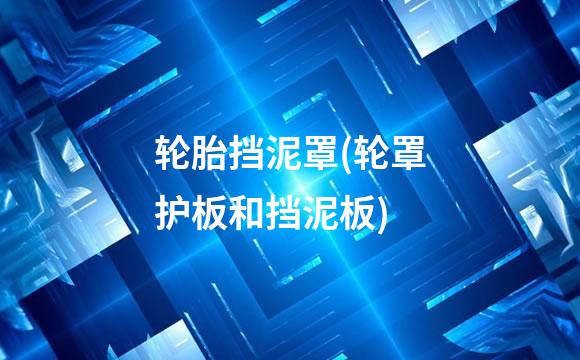 轮胎挡泥罩(轮罩护板和挡泥板)