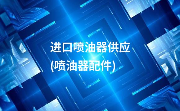 进口喷油器供应(喷油器配件)