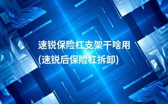 速锐保险杠支架干啥用(速锐后保险杠拆卸)