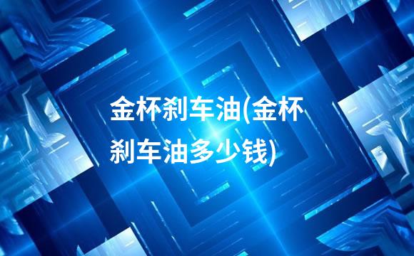 金杯刹车油(金杯刹车油多少钱)