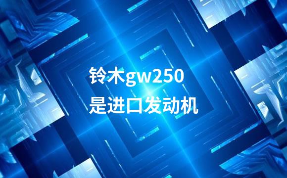 铃木gw250是进口发动机