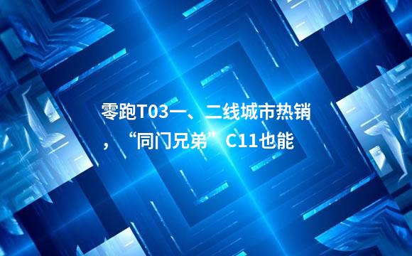 零跑T03一、二线城市热销，“同门兄弟”C11也能