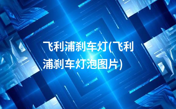 飞利浦刹车灯(飞利浦刹车灯泡图片)